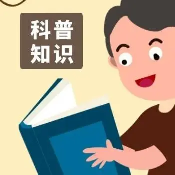 醋酸乙酯和醋酸酯有什么区别？